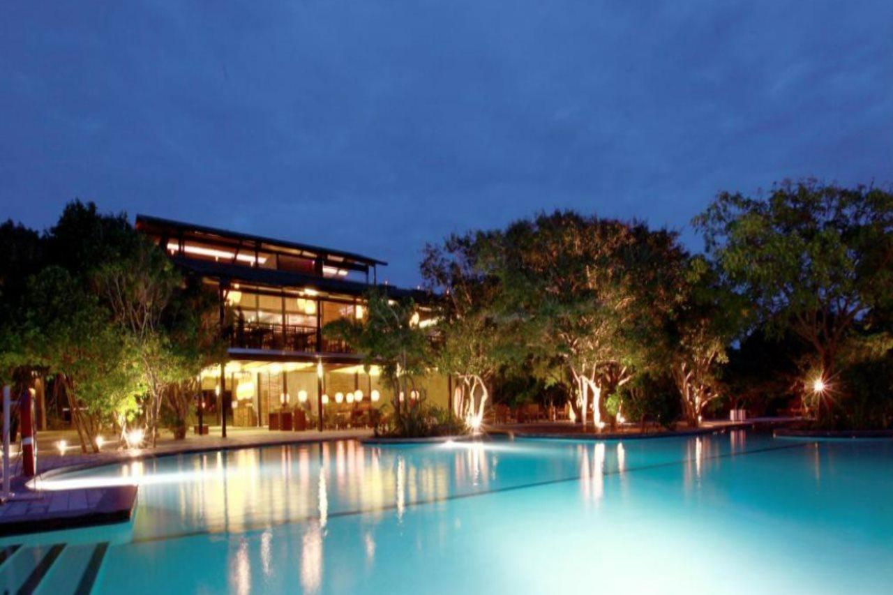 Cinnamon Wild Yala Kültér fotó The swimming pool at the hotel