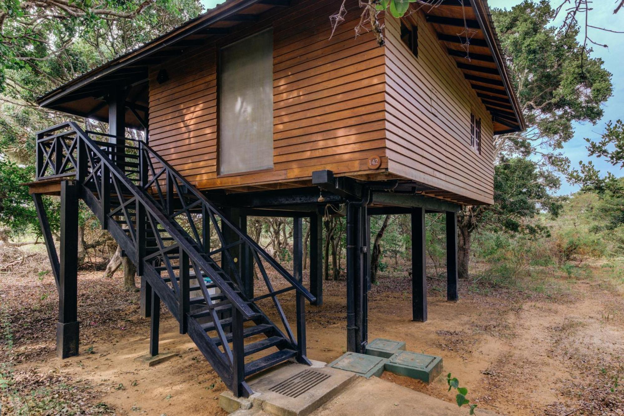 Cinnamon Wild Yala Kültér fotó A tree house in Sri Lanka