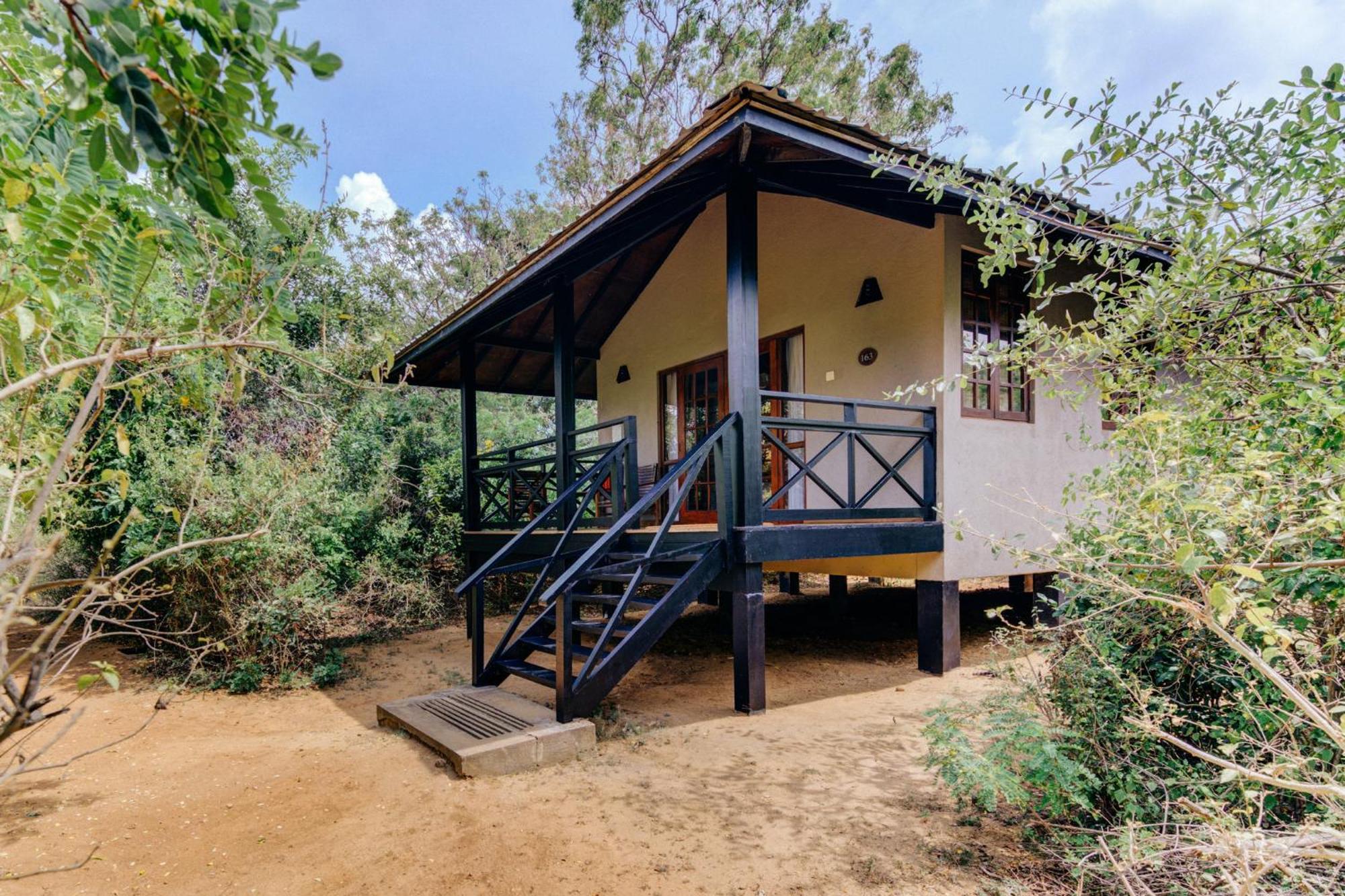 Cinnamon Wild Yala Kültér fotó A bungalow at the resort