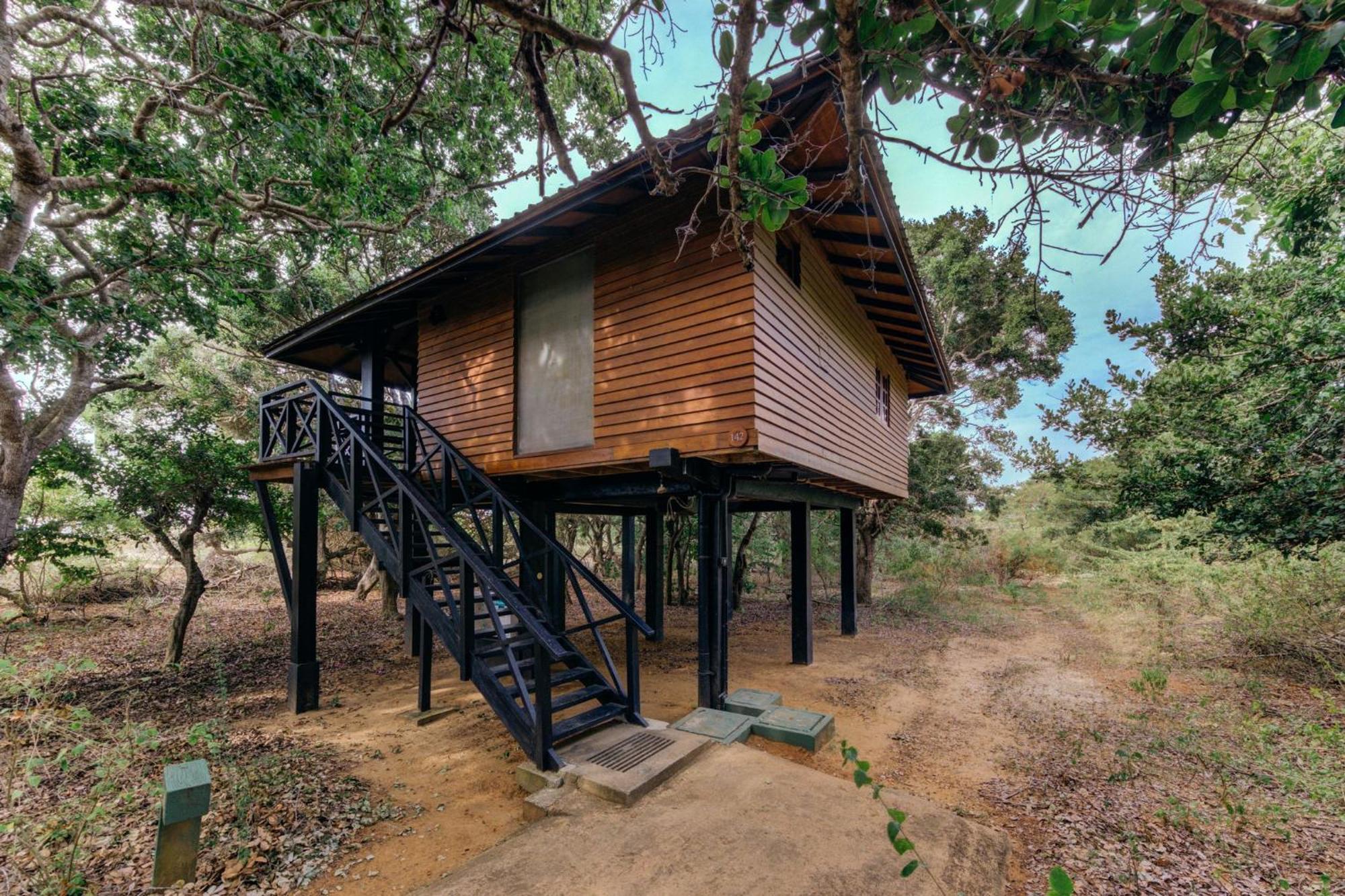 Cinnamon Wild Yala Kültér fotó Treehouse at the resort