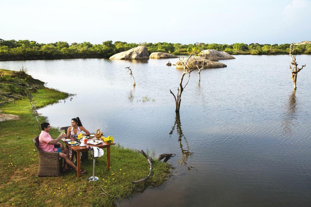 Cinnamon Wild Yala Kültér fotó The resort's lake
